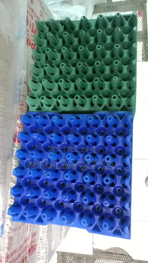 Green and Blue Plastic Egg Trays Stock