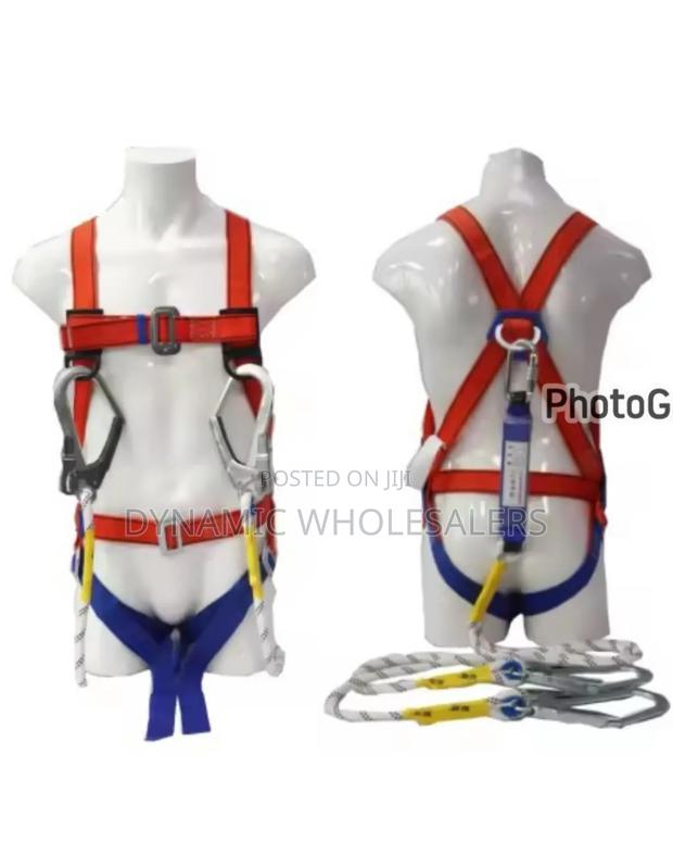 Full Body Harness With Back Support.