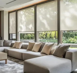 Sunscreen Roller Blinds-Bright Days, Cool Interiors