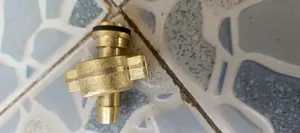 Portable Sprayer