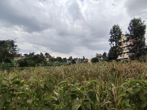 50x100 Plot for Sale in Muthiga Kikuyu Kiambu County. - thumbnail 2