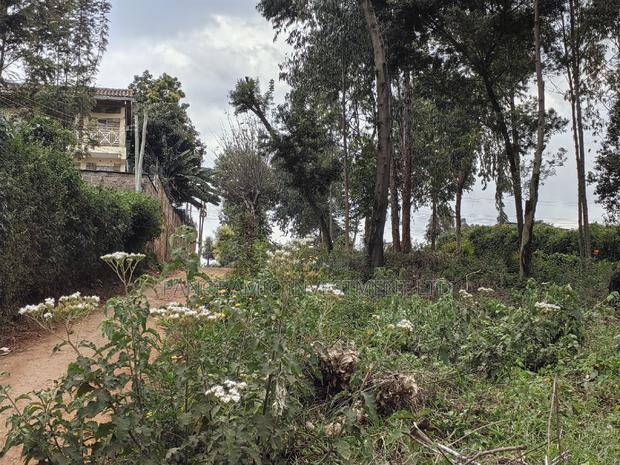 50x100 Plot for Sale in Muthiga Kikuyu Kiambu County. - thumbnail 4