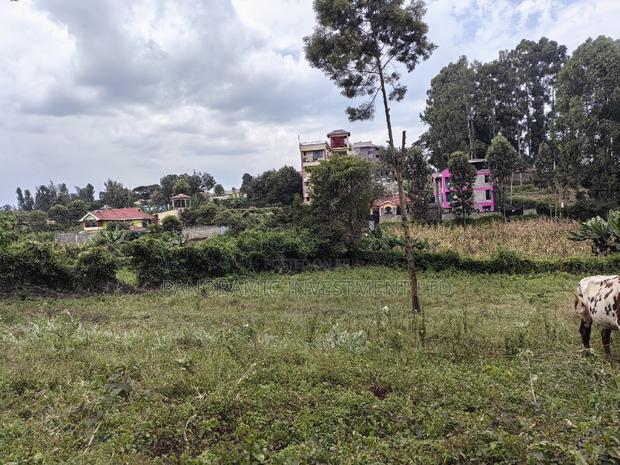 50x100 Plot for Sale in Muthiga Kikuyu Kiambu County. - thumbnail 6