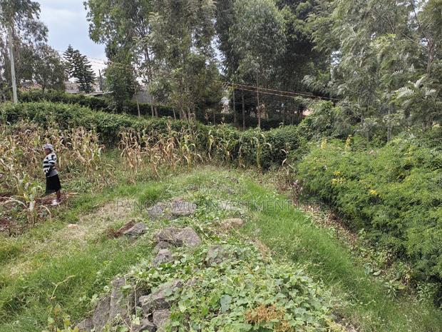50x100 Plot for Sale in Muthiga Kikuyu Kiambu County. - thumbnail 7
