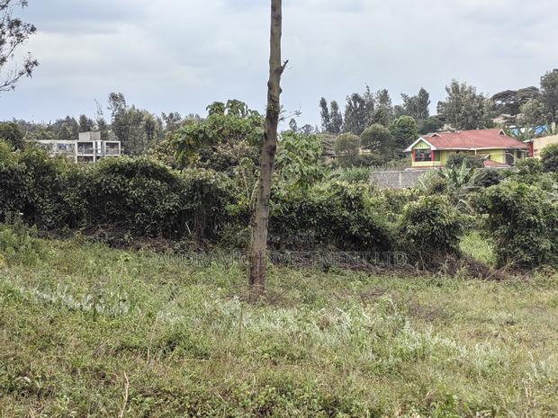 50x100 Plot for Sale in Muthiga Kikuyu Kiambu County. - thumbnail 8