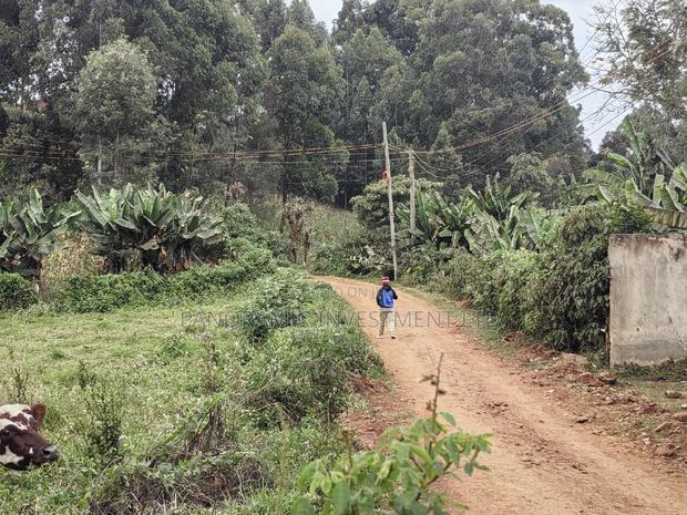 50x100 Plot for Sale in Muthiga Kikuyu Kiambu County. - thumbnail 9