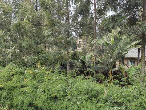 50x100 Plot for Sale in Muthiga Kikuyu Kiambu County. - thumbnail 12
