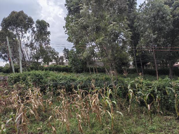 50x100 Plot for Sale in Muthiga Kikuyu Kiambu County. - thumbnail 13