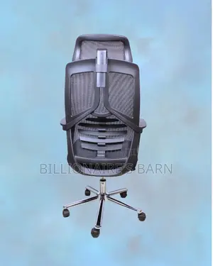High Back Mesh Office Chair | Orthopedic Lumbar Support