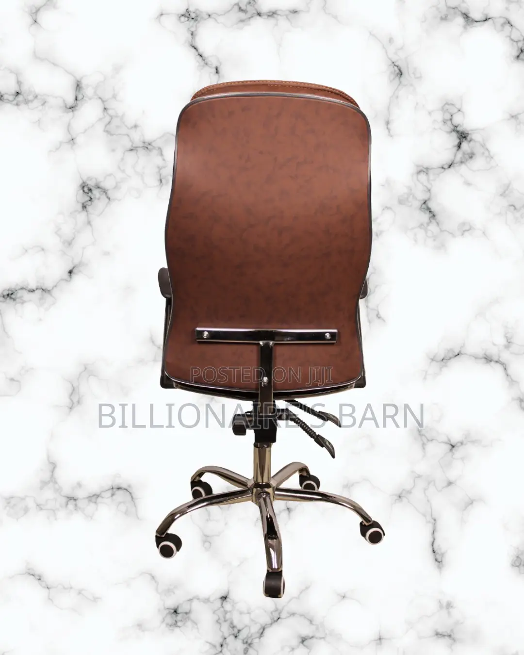 Ergonomic Executive Leather Chair | Premium Mesh Backrest