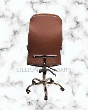 Ergonomic Executive Leather Chair | Premium Mesh Backrest