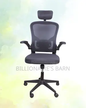 Breathable Grey Ergonomic Office Chair | Lumbar Support