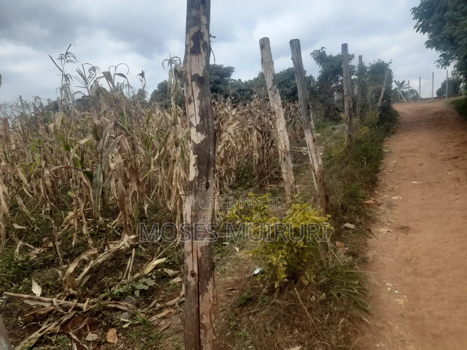 50 by 100 Plot for Sale