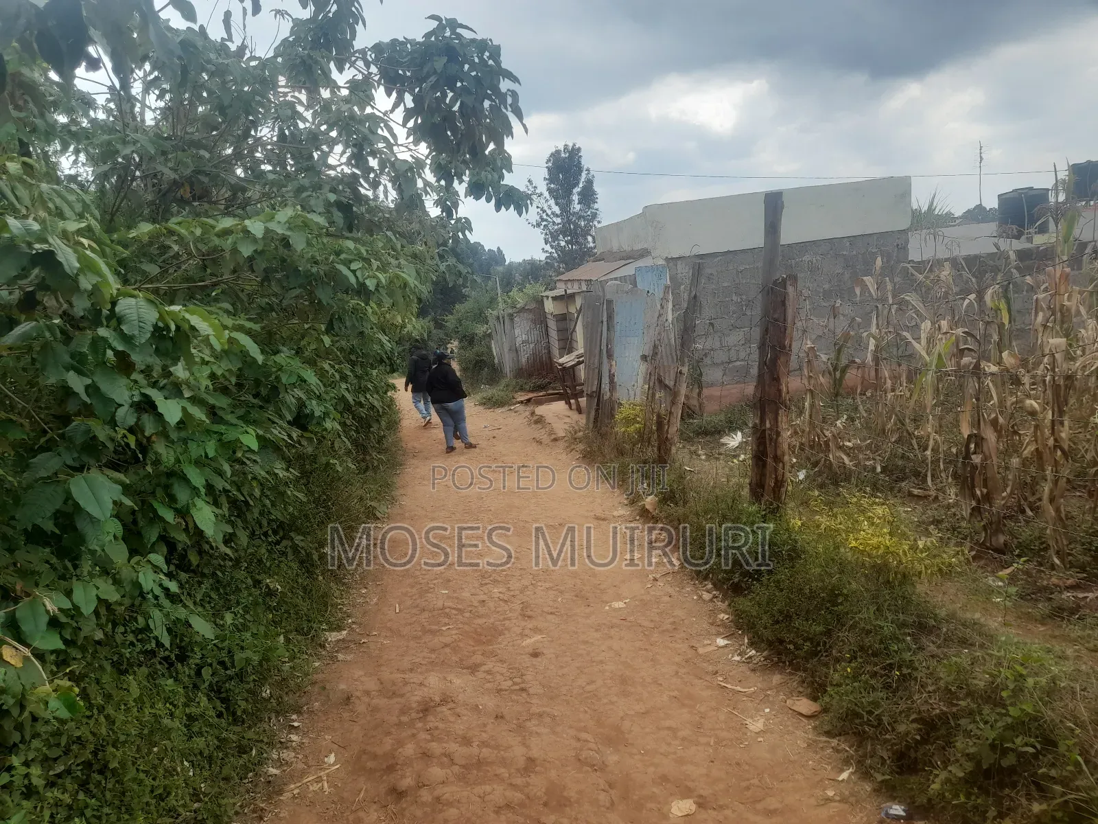 50 by 100 Plot for Sale