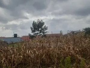 50 by 100 Plot for Sale