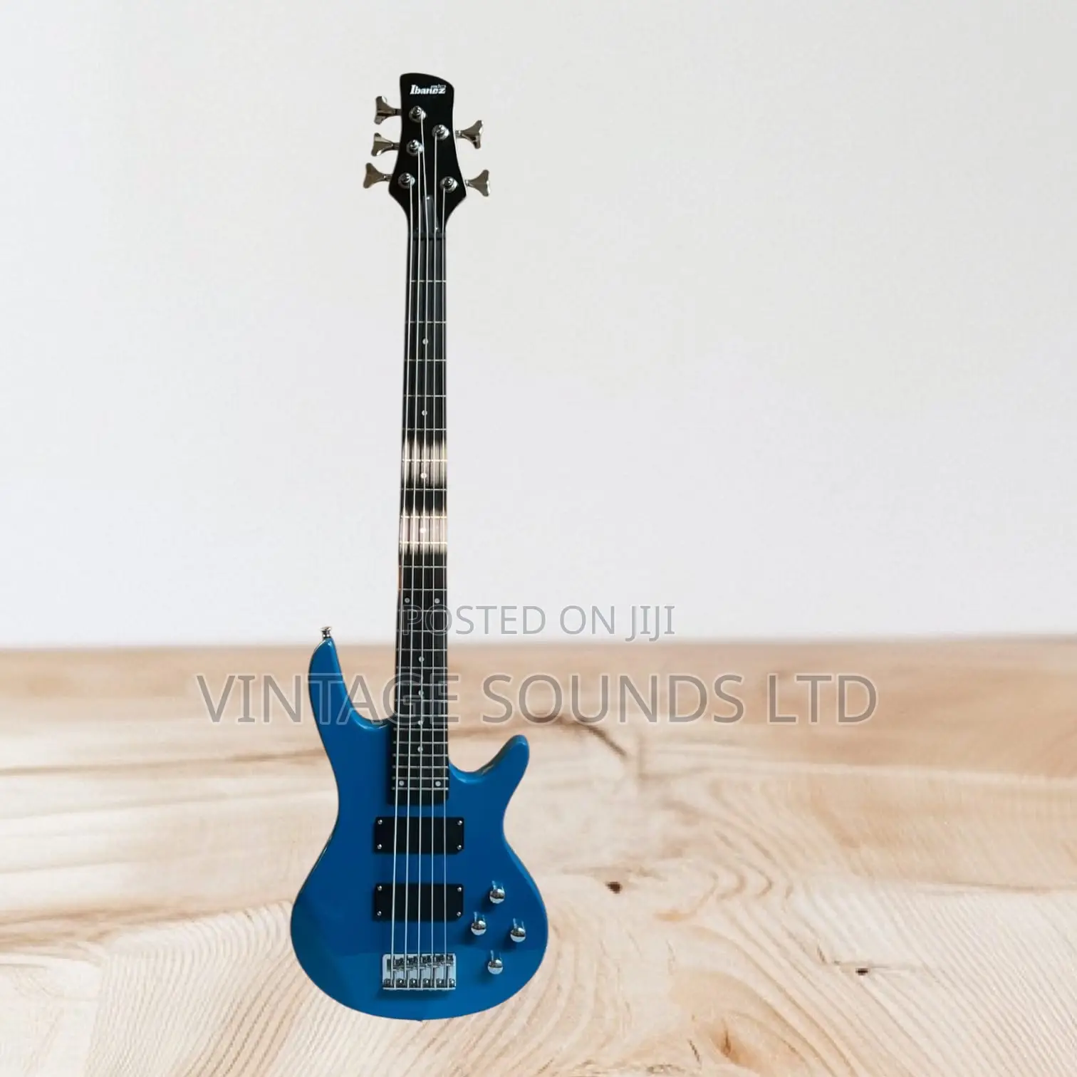 Ibanez Gio GRG 121dx 24 Fret Passive 5 Strings Bass Guitar ( Blurish)