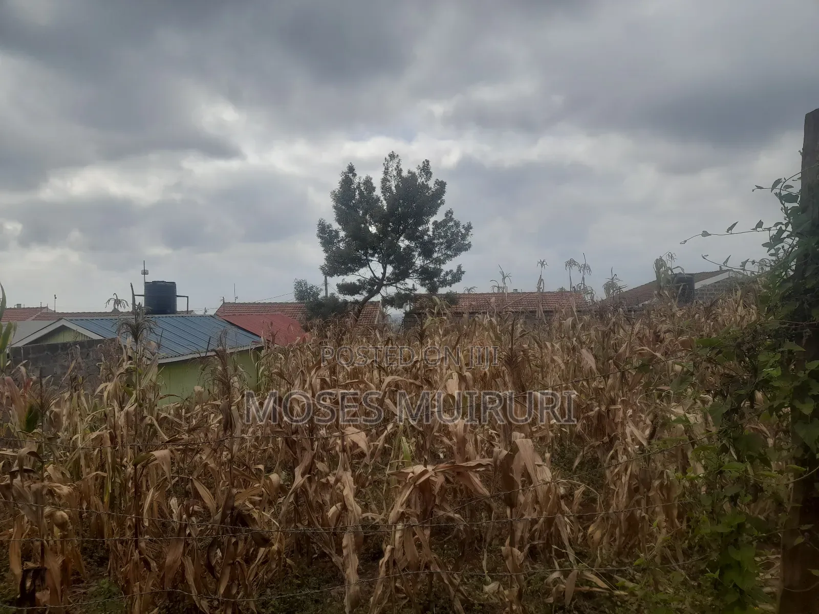 50 by 100 Plot for Sale