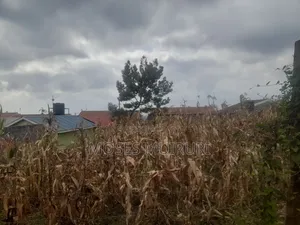 50 by 100 Plot for Sale