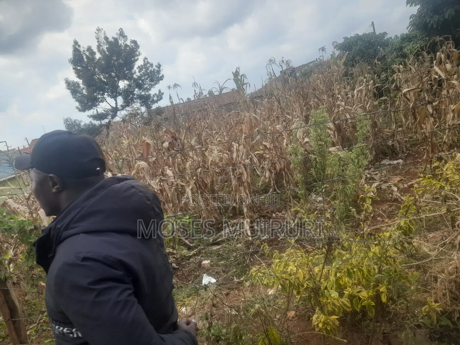 50 by 100 Plot for Sale