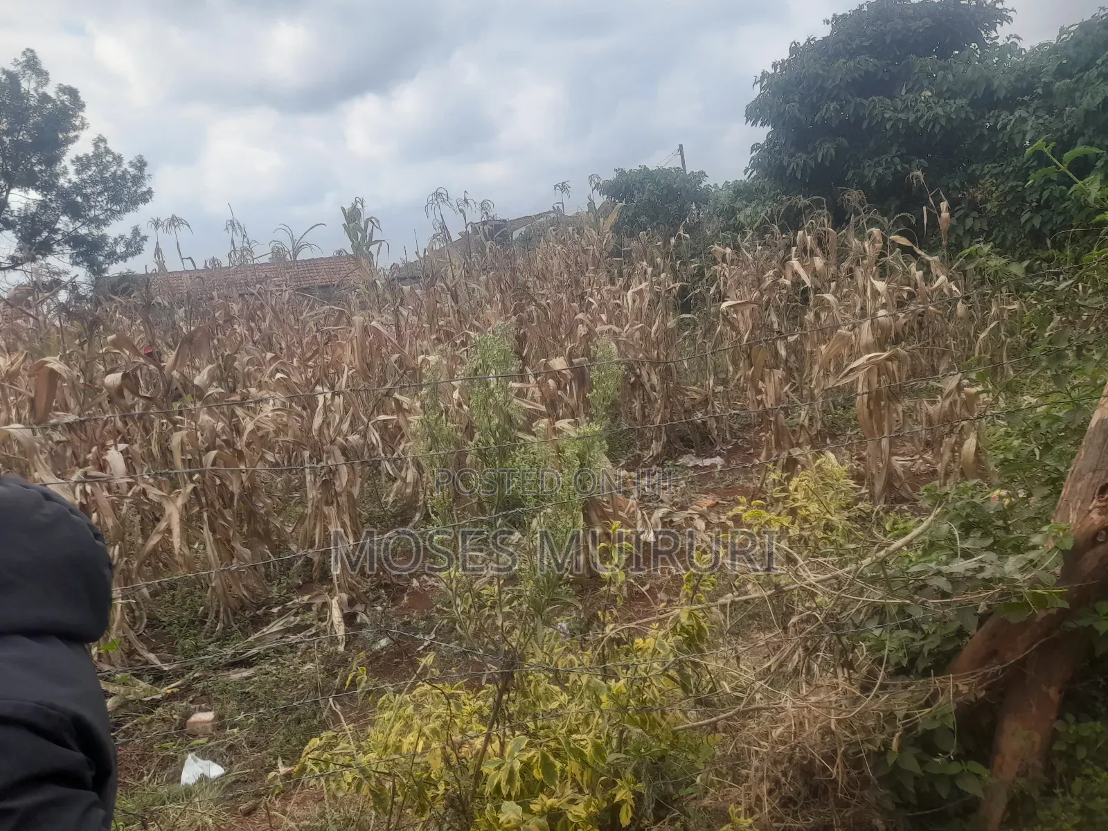 50 by 100 Plot for Sale