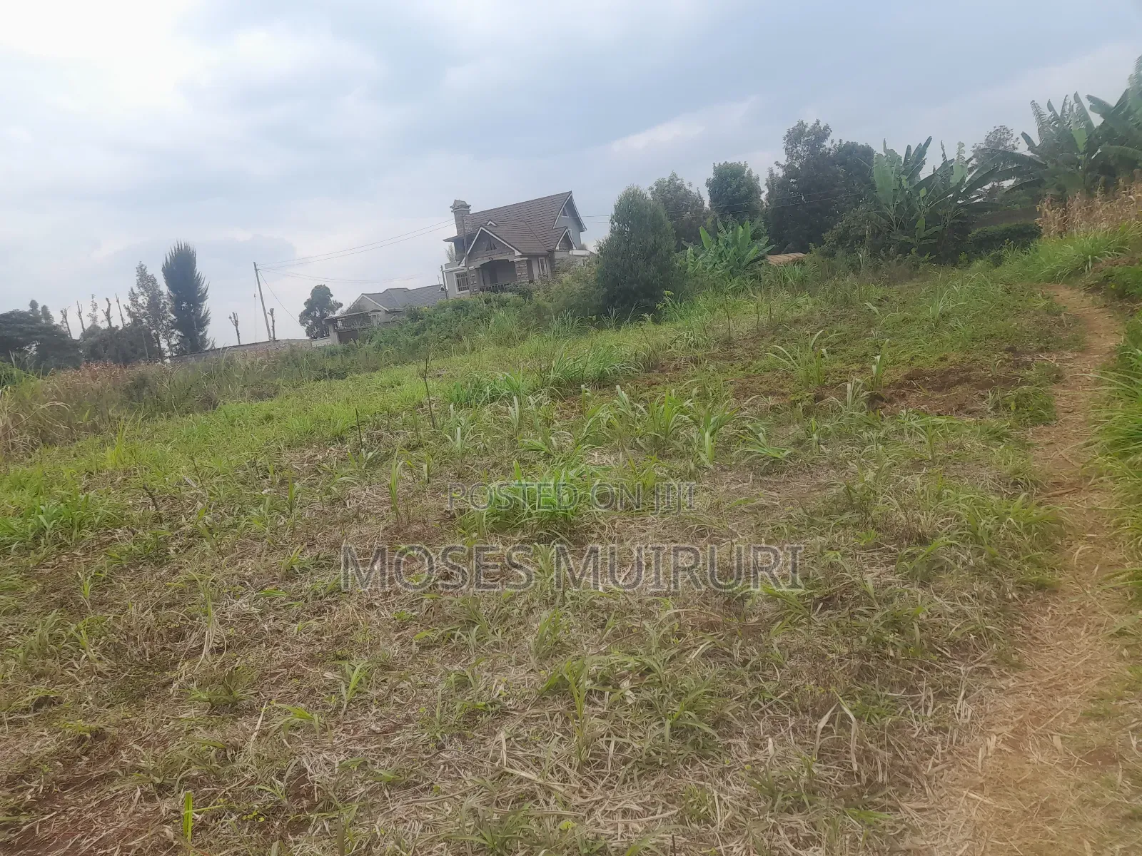 100 by 100 Plot for Sale