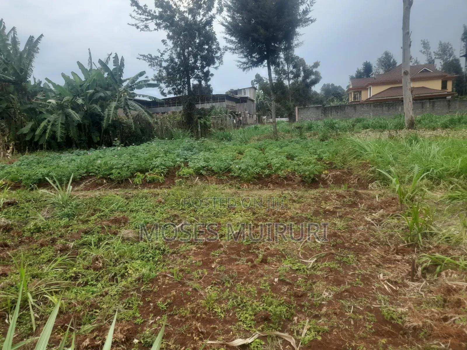 100 by 100 Plot for Sale