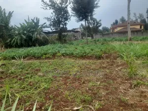 100 by 100 Plot for Sale