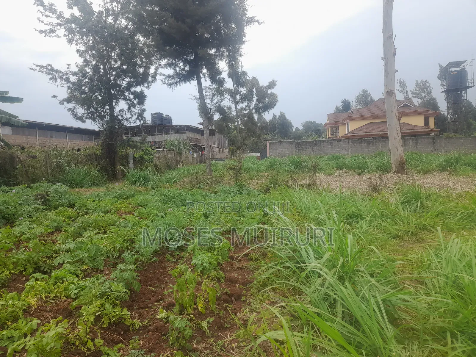 100 by 100 Plot for Sale