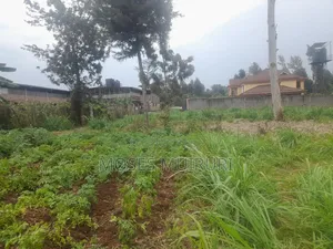 100 by 100 Plot for Sale