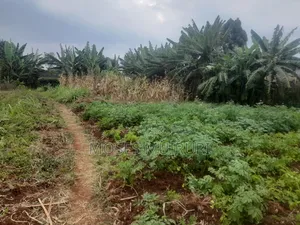 100 by 100 Plot for Sale
