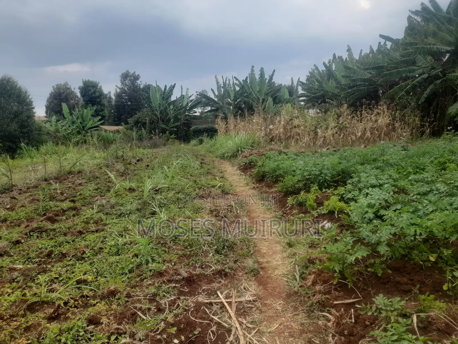 100 by 100 Plot for Sale