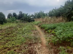 100 by 100 Plot for Sale