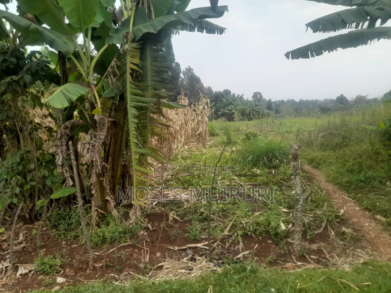 100 by 100 Plot for Sale
