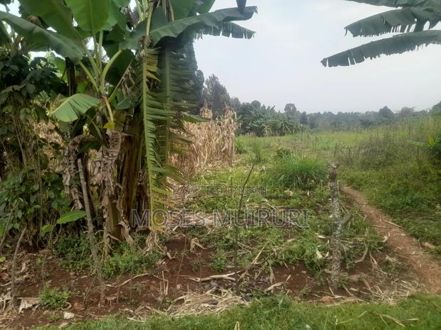 100 by 100 Plot for Sale - thumbnail 6