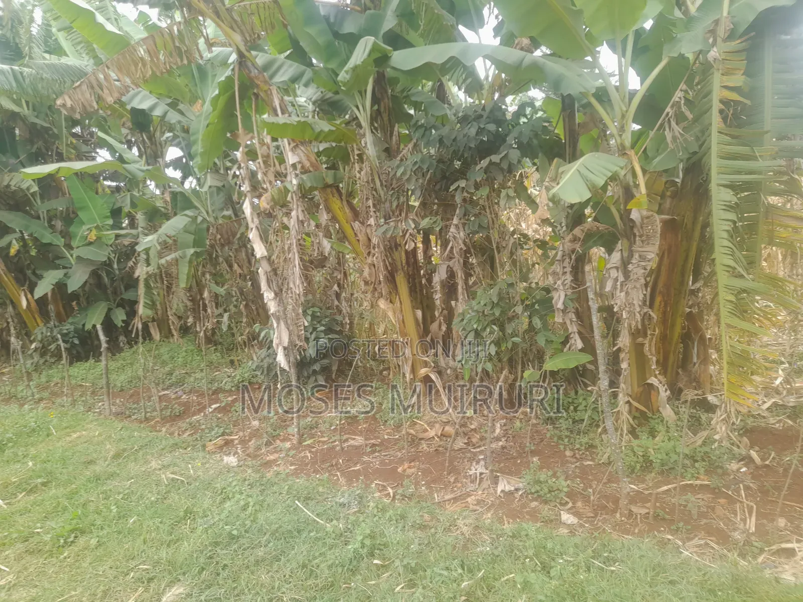 100 by 100 Plot for Sale