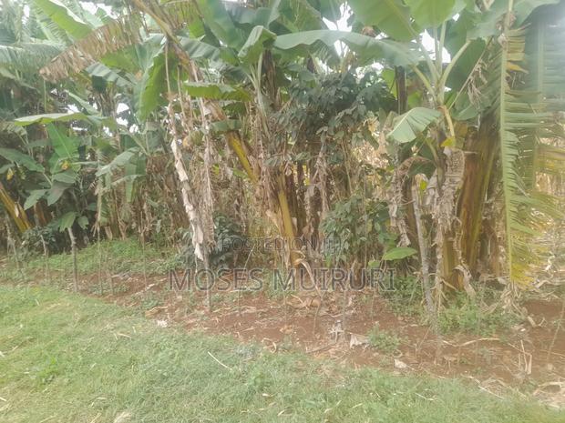 100 by 100 Plot for Sale - thumbnail 7