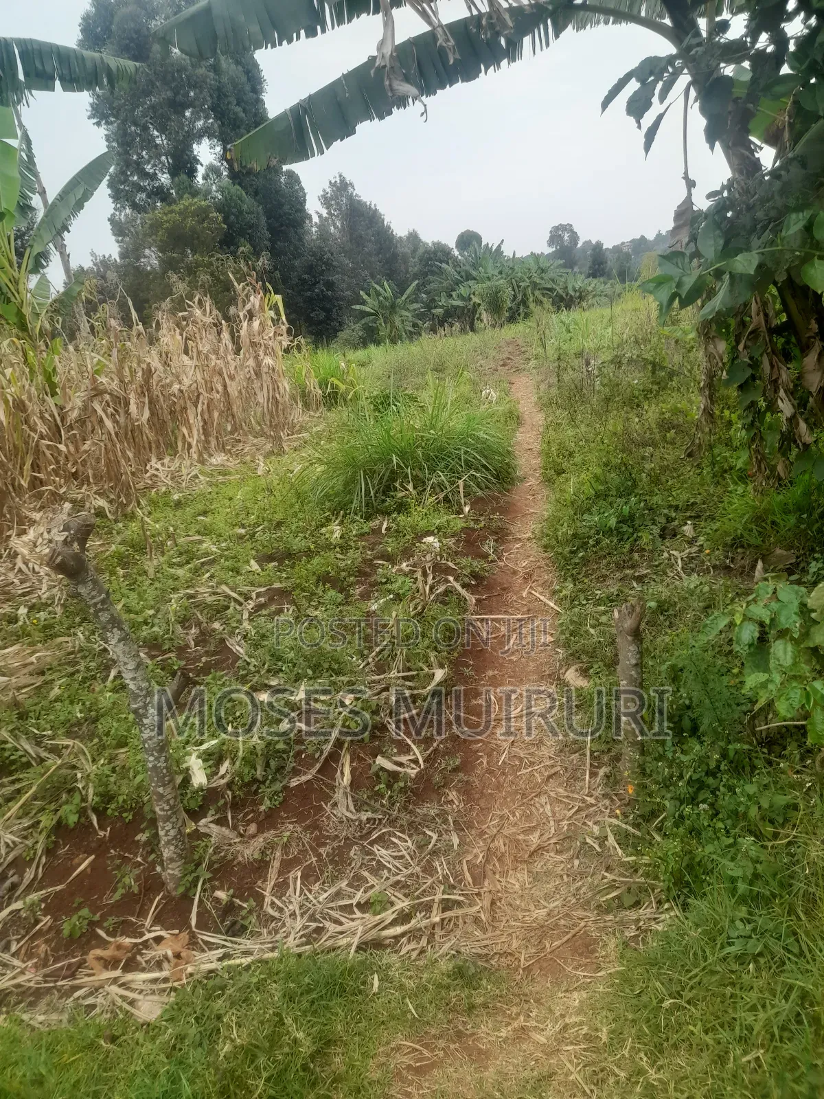 100 by 100 Plot for Sale