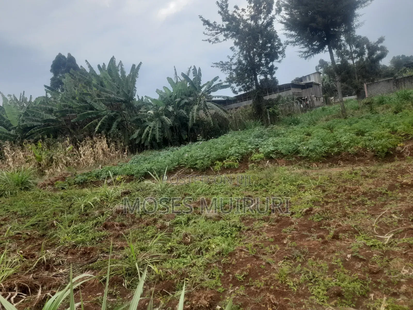 100 by 100 Plot for Sale