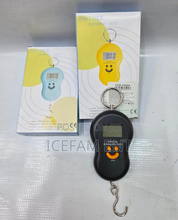 Portable Scale/Portable Scale - main view