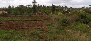 Plot for Sale in Murera Coffee