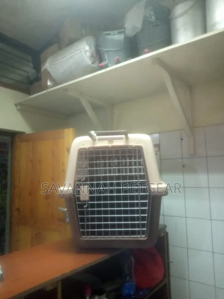 Pets Dogs Cats and Animals Cages