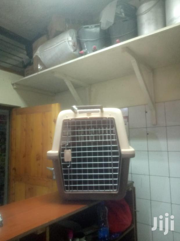 Pets Dogs Cats and Animals Cages - main view