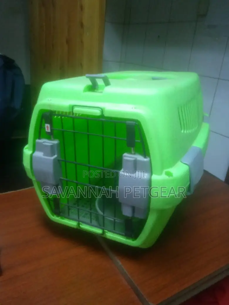 Pets Dogs Cats and Animals Cages