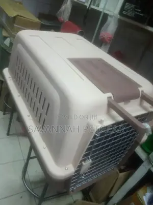 Pets Dogs Cats and Animals Cages