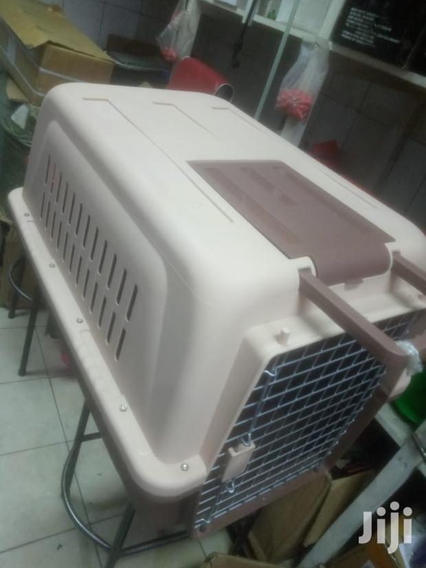 Pets Dogs Cats and Animals Cages - thumbnail 3