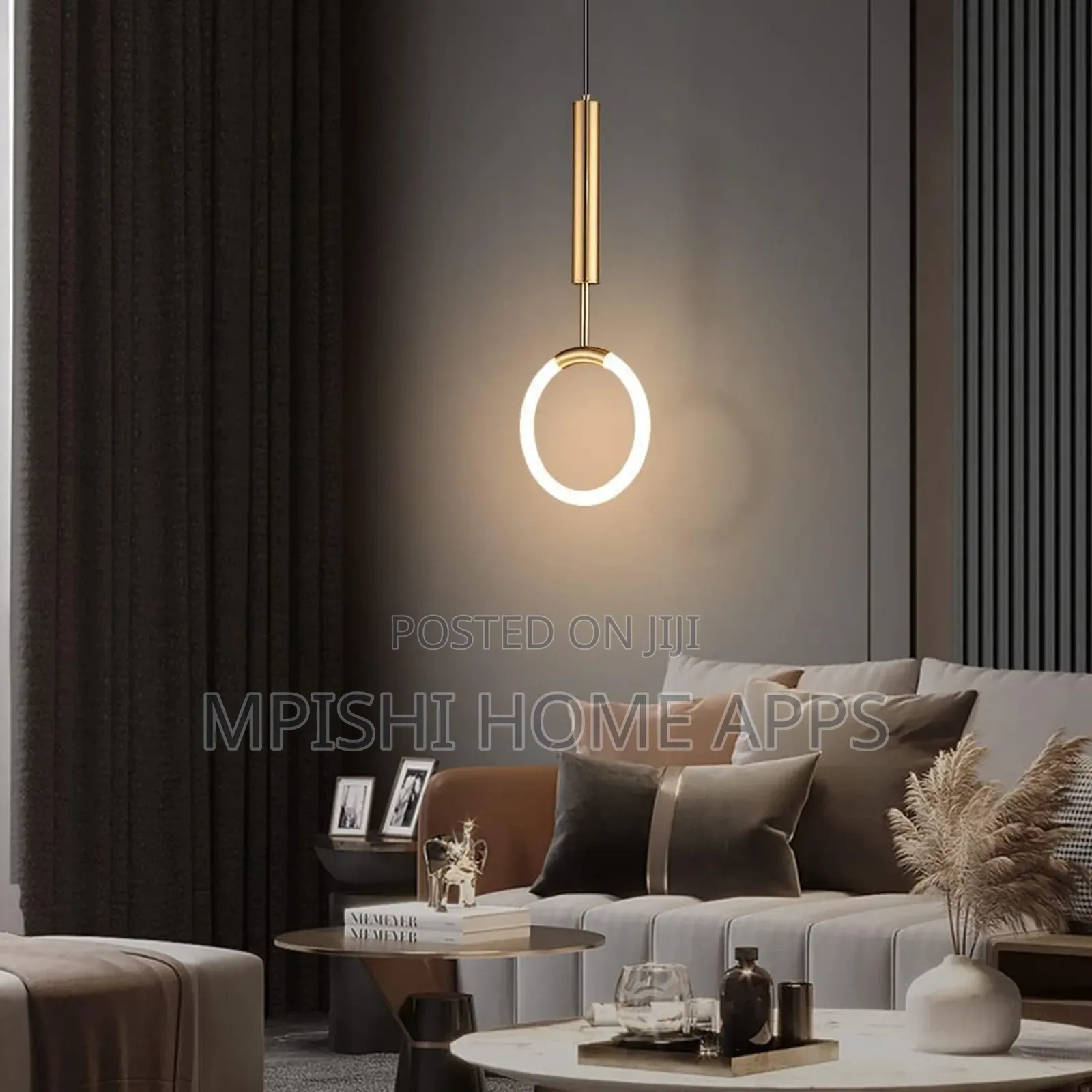 Circle Ring Pendant Light