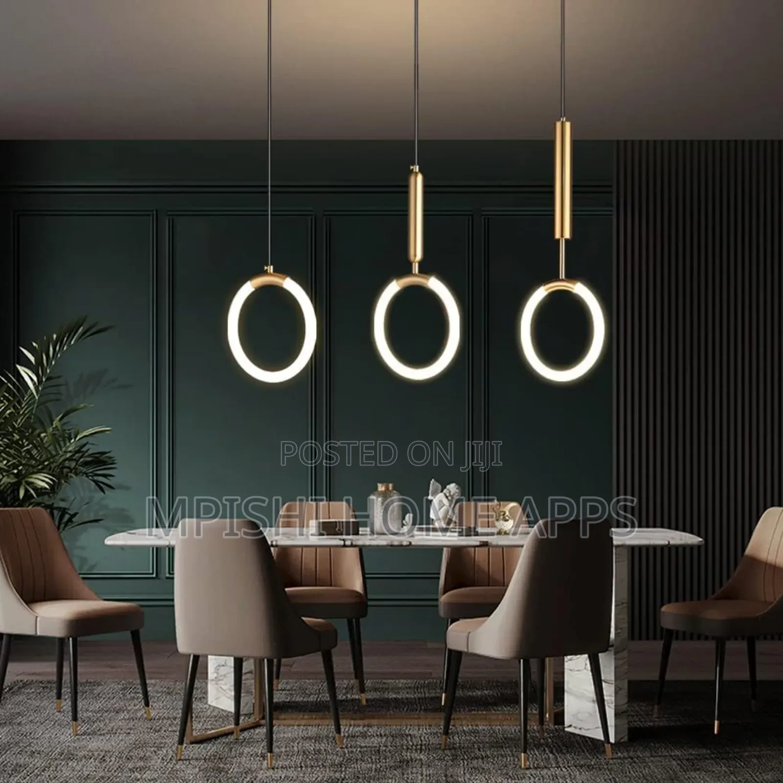 Circle Ring Pendant Light