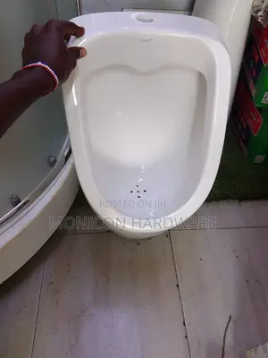 Urinal Bowl Concealed (Jaguar)