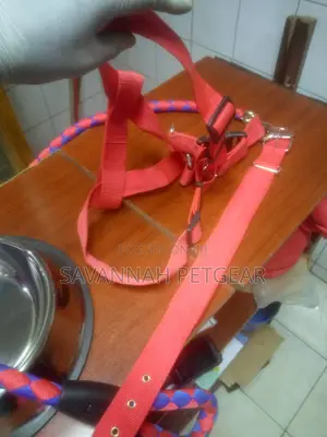 Dog Leashes and Collars for All Sizes of Dogs