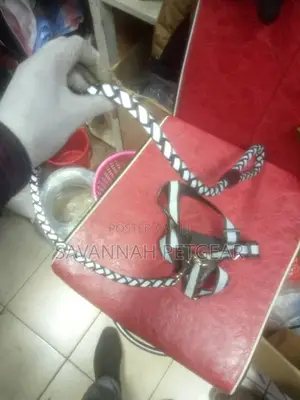 Dog Leashes and Collars for All Sizes of Dogs